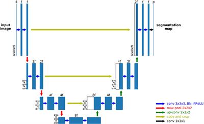 Frontiers | Brain Tumor Segmentation Using An Ensemble Of 3D U-Nets And ...